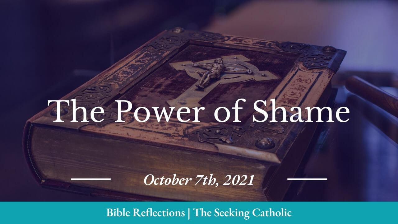 The power of shame - bible reflections - the seeking catholic