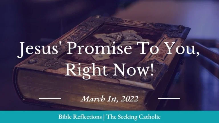 Bible reflections - Jesus promise to you