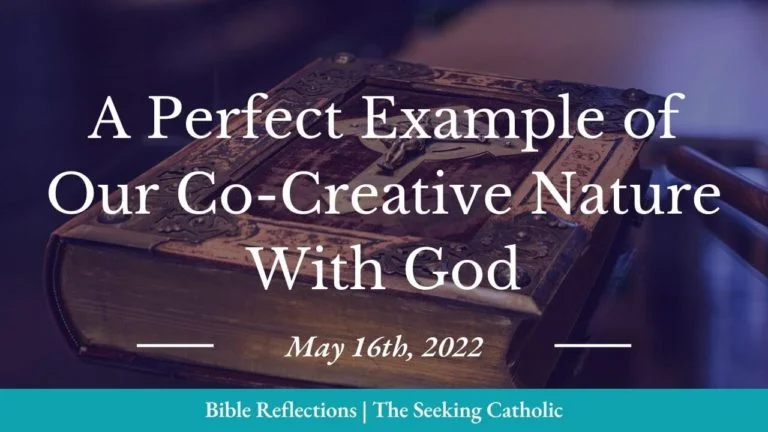 Thumbnail - A perfect example of our co-creative nature with God