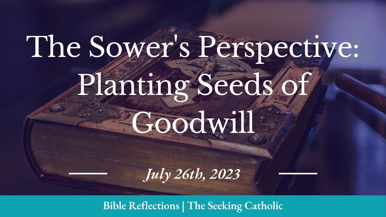 Bible Reflections - 20230726 - The Sower's Perspective, Planting Seeds of Goodwill